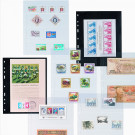Leuchtturm Plastic pockets OPTIMA, 1-waydivision for German First Dayof Issue cards, black (359331)