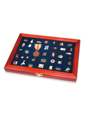 SAFE Showcase for pins 5866
