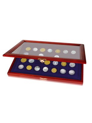 Elegant Wooden display presentation case 5904